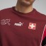  Svizzera SVF Puma T-shirt maglia maglietta Cotone FtblArchive Euro 2024 2