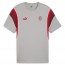  Ac Milan Puma T-shirt maglia maglietta girocollo FtblArchive Grigio Cotone 2024 4