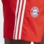  Bayern Monaco Adidas Pantaloncini Shorts DNA UOMO Rosso 2023 24 4