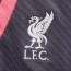  Liverpool Fc Nike Pantaloncini Shorts Antracite Dry Strike Training 2023 24 2